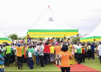 GOVERNMENT INCREASES COCOA PRICE BY 63.5%