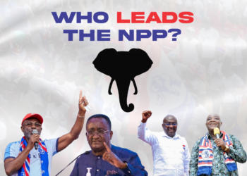 #NPP Decides: Voting takes off to slow pace in Damongo