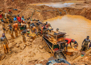 Let’s fight Illegal Mining