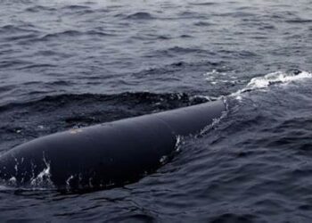 North Korea conducts ‘underwater nuclear weapons system’ test – state media