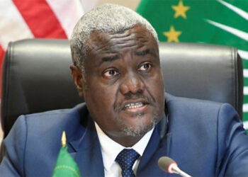 AU Commission chief urges action on Africa instability