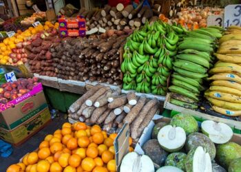 World bank; food prices increase