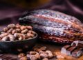 Sweet Symphony of Love – Cocoa’s Essence on Chocolate Day