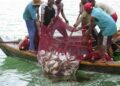 National Fisheries Association