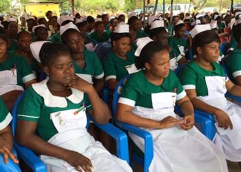 Ministry of Health Denies Nursing Recruitment Announcement