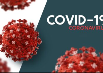 COVID-19 Pandemic: 4 years after its confirmation