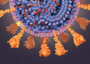 SARS: A global health crisis unveiled