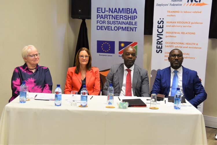 Namibia EU Envoy