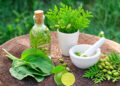 Embracing the Healing Legacy: Traditional Medicine in Ghana
