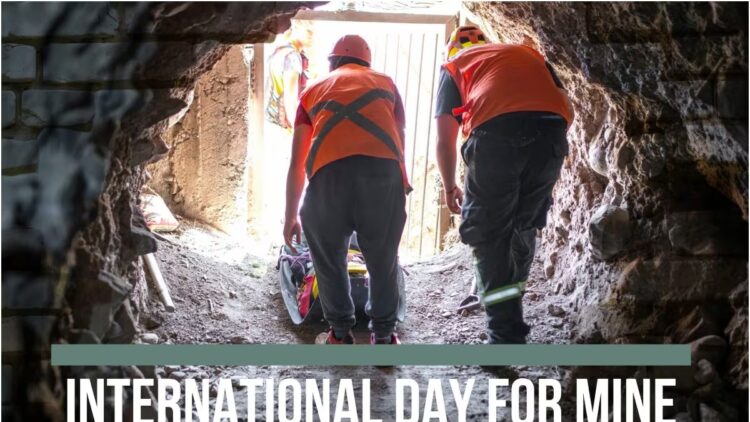 International Mine day
