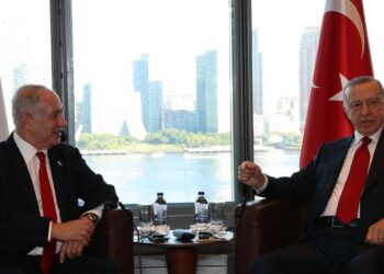 Turkey halts trade with Israel over 'humanitarian tragedy' in Gaza