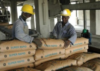 Cement Retailers Applaud Minister's Intervention Amidst Price Hike Concerns