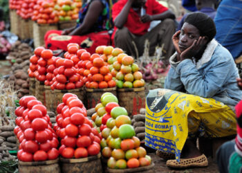 Struggling to Keep Up: Cedi Depreciation Driving Inflation and Soaring Food Prices