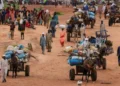 World ignoring risk of Sudan genocide – UN expert