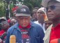 Hands Off Our Hotels Demo: Ablakwa Submits Official Petition to Government