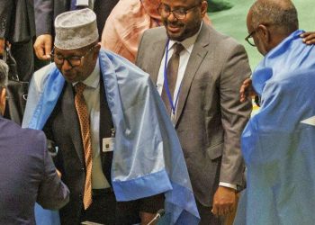 Giant step for Somalia with UN Security Council seat