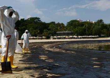 Singapore races to clean up beaches after oil spill