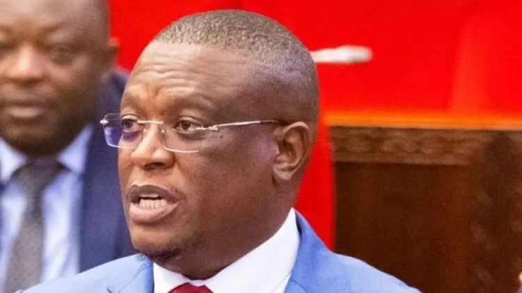 Nape Nnauye served as information minister from January 2022
