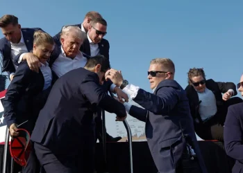 Donald Trump injured in rally assassination attempt