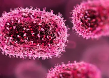 Morocco confirms first mpox case in current outbreak