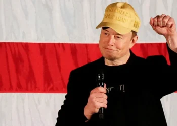 Musk’s $1m-a-day to swing states voters ‘deeply concerning’