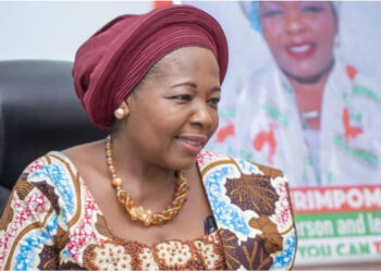 CPP Calls for Collaboration with Chiefs to Tackle Illegal Mining