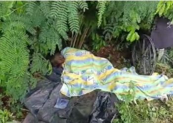 Health Ministry Refers Case of Patient Abandoned in Bush to CID