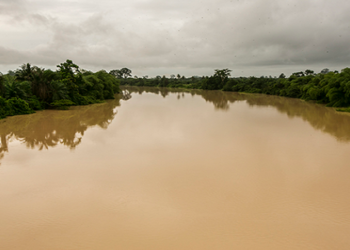 Restoration of Water Bodies Could Take Up to 15 Years- Expert Warns