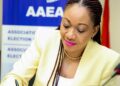 Peace Pact: Key to stability before and after elections – Jean Mensa