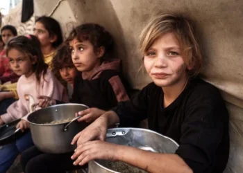 Israel has missed US deadline to boost Gaza aid, UN agency says