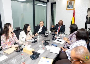 Dep. Finance Minister engages Chinese investors on Ghana’s growth opportunities