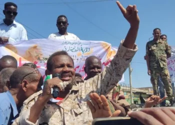 Sudan army ends two-year siege of key city