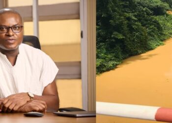 Ahiagbah calls for inclusive approach to galamsey fight
